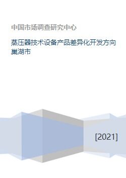 蒸压器技术设备产品差异化开发方向 巢湖市的技术创新路径探析
